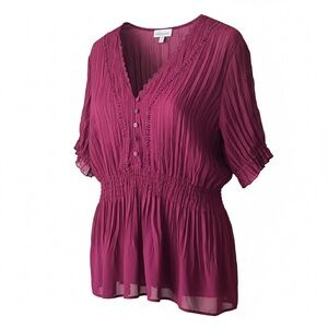 Burgundy Crinkle Sheer Top